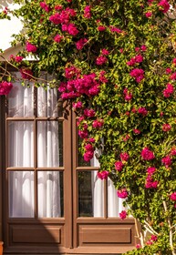 El Jardin De Su Merced B&B