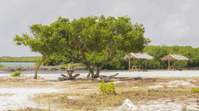 Dive Hut Bonaire