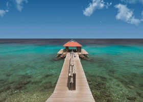 Divi Flamingo Beach Resort & Casino