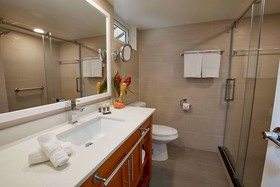 Divi Flamingo Beach Resort & Casino