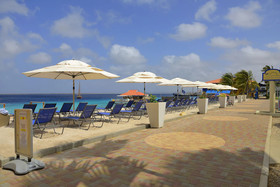 Divi Flamingo Beach Resort & Casino