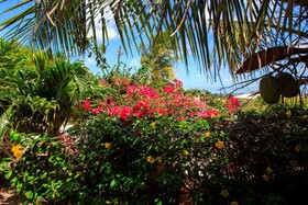 Goood Resort