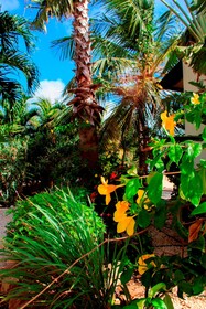Goood Resort