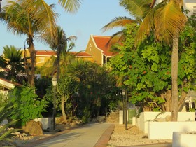 Kas Kibrahacha