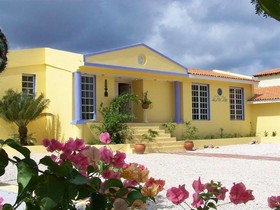 La Pura Vista