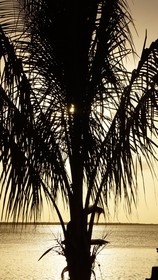 Windsock Beach Resort
