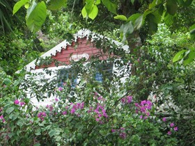 El Momo Cottages