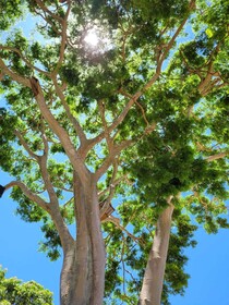 Pousada Rancho Bonito