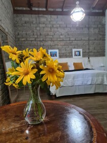 Bosque São Francisco