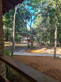 Bosque São Francisco