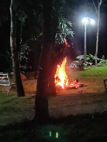 Bosque São Francisco