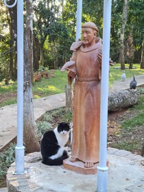 Bosque São Francisco