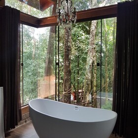 Bosque São Francisco