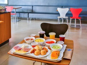 Ibis Goiania