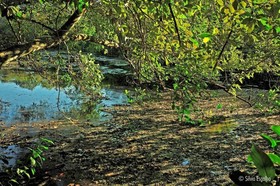 Aymara Lodge Pantanal