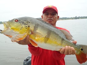 Pousada Mamori