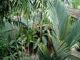 Ecopousada Miriti
