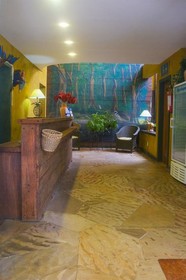 Hotel Manacá