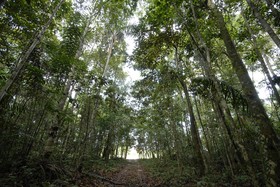 Amazonia Golf Resort