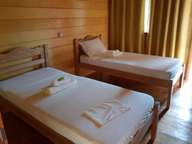 Amazon Arowana Lodge
