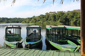 Amazon Ecopark Jungle Lodge