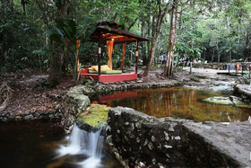 Amazon Ecopark Jungle Lodge