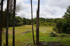 Amazon Island Jungle Lodge