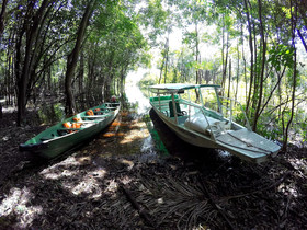 Amazon Island Jungle Lodge