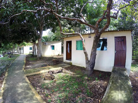 Amazon Island Jungle Lodge