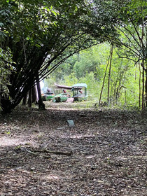 Anaconda Amazon Resort