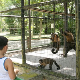 Tropical Manaus Ecoresort