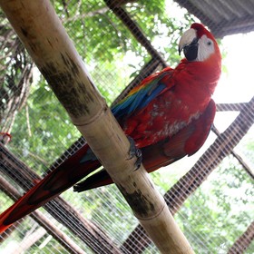 Tropical Manaus Ecoresort