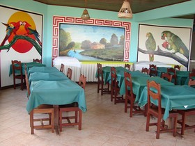 Ilha Do Marajo