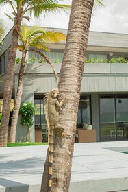 Club De Mar Condo Hotel