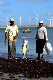 Hula Hula Brazil Icaraizinho