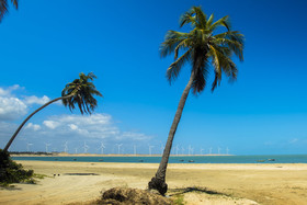 Hula Hula Brazil Icaraizinho