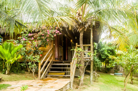 Hula Hula Brazil Icaraizinho