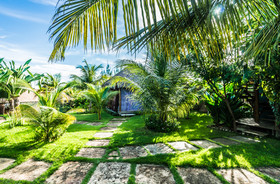 Hula Hula Brazil Icaraizinho
