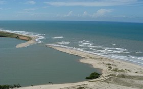 Kalamari