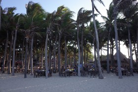 Palm Beach