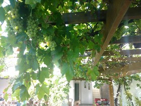 Luz & Mar Inn