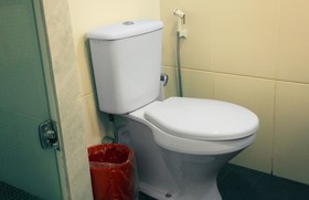 ibis Bacabal