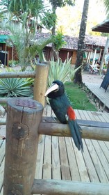 Pousada Villa Mares