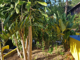 Odoya Eco Pousada