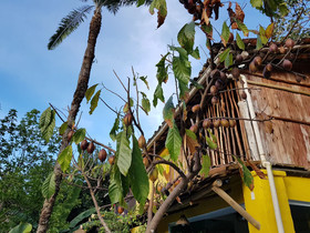 Odoya Eco Pousada