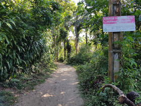 Odoya Eco Pousada