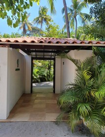 Pousada Mangueira Boutique Hotel