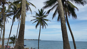 Casa Sereia
