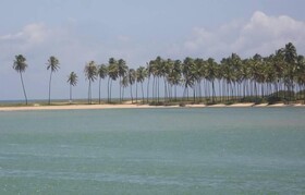 Pousada Carvalhos