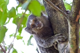 Pousada Villas do Atlântico